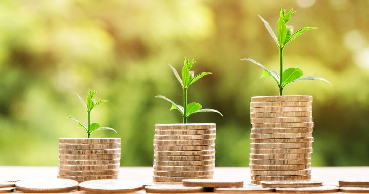 Money, profit, finance — Finding the Right Immigration Consultant to Help You With Investor Immigration in Canada
