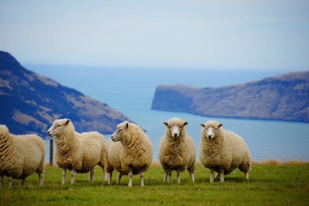 New zealand, nature, sea — Get Ready for an Unforgettable Experience - Register at Fun888 Now!