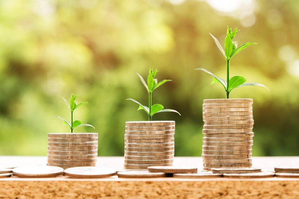 Money, profit, finance — Max Herve George Integrates Sustainability in Investment Decisions