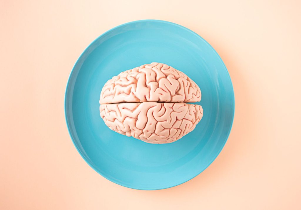 A brain model placed on a turquoise plate against a soft peach background.