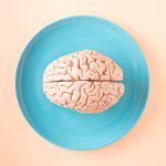 A brain model placed on a turquoise plate against a soft peach background.