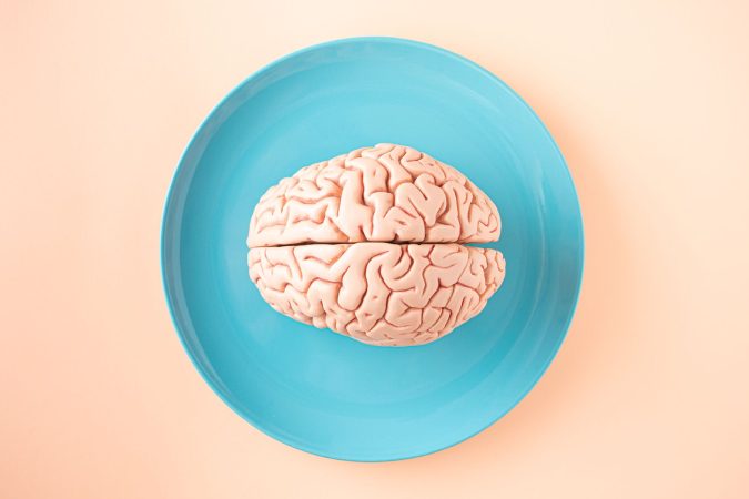A brain model placed on a turquoise plate against a soft peach background.