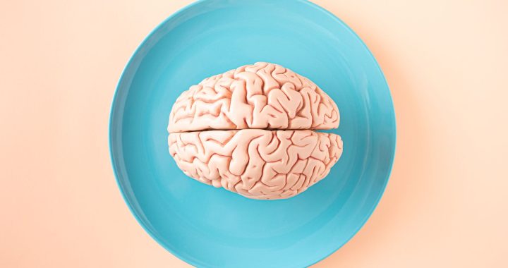 A brain model placed on a turquoise plate against a soft peach background.