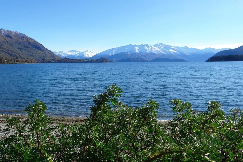 Lake, new zealand, landscape — Top 5 Web Development Mistakes To Avoid According To Experts