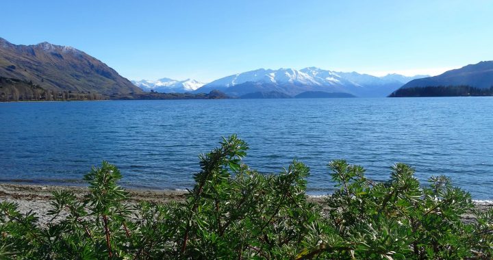 Lake, new zealand, landscape — Top 5 Web Development Mistakes To Avoid According To Experts