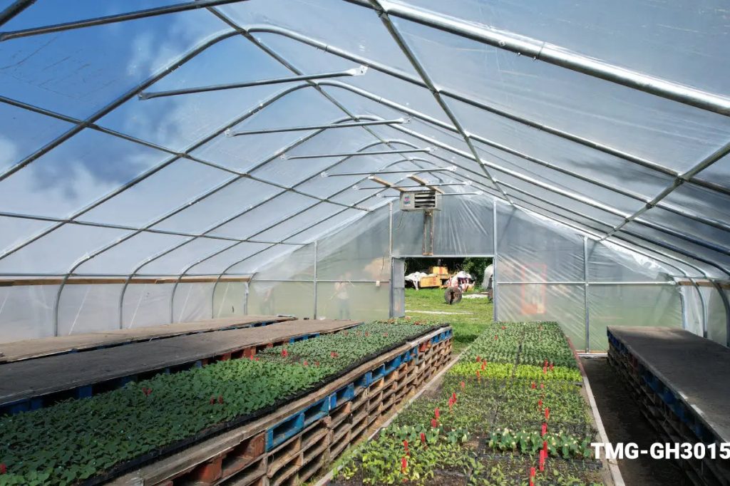 Why Greenhouses Are the Future of Sustainable Gardening