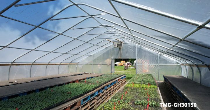 Why Greenhouses Are the Future of Sustainable Gardening