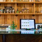 well-organized cannabis catalogue