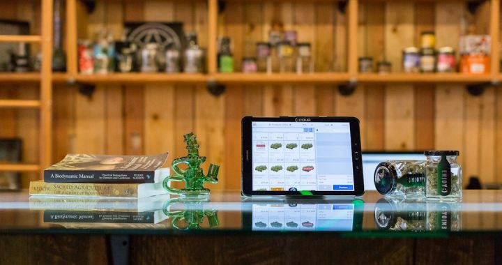 well-organized cannabis catalogue
